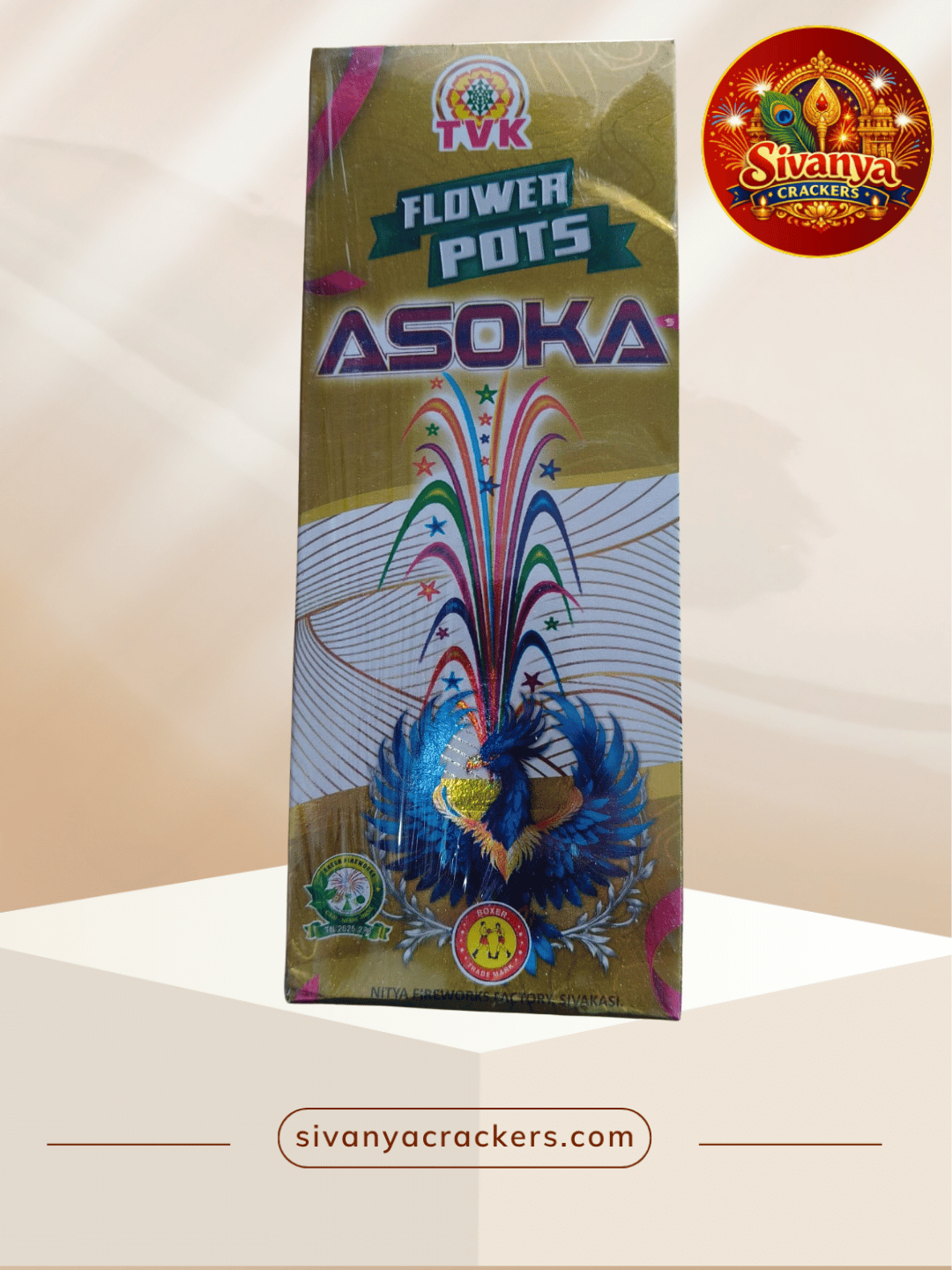 Flower pots ashoka